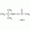 O-乙?；?N-叔丁基羥胺鹽酸鹽>98%