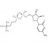 胞磷膽堿